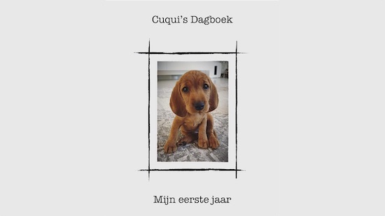 Cuqui’s Dagboek
