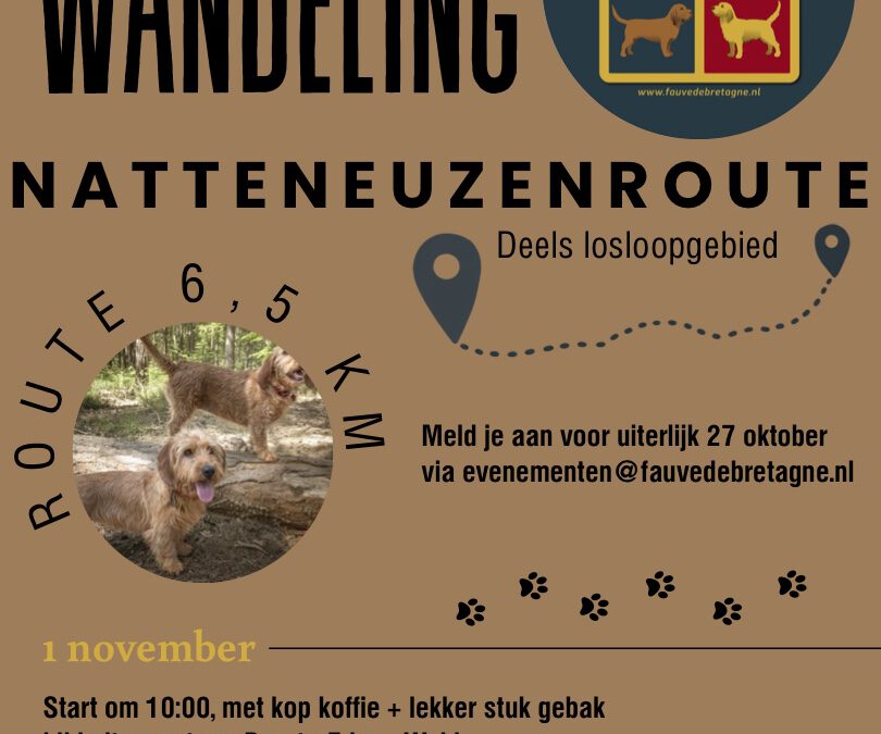 Wandeling omgeving Appelscha